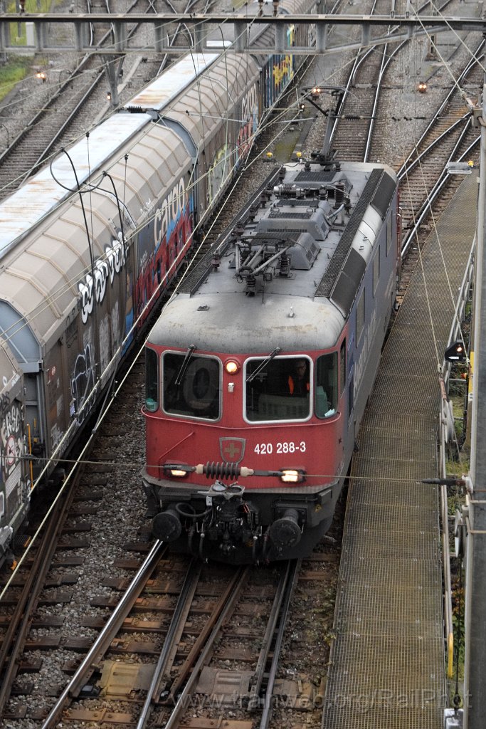 9510-0010-111224.jpg - SBB-CFF Re 420.288-3 "Avanti tutta!" / RB Limmattal 11.12.2024