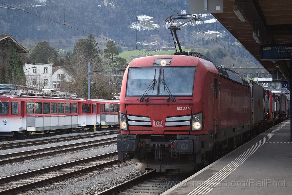 9549-0009-240125.jpg - DBAG 193.339-9 / Arth-Goldau 24.1.2025