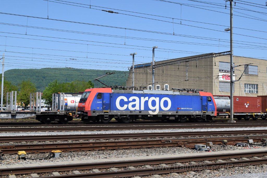 9698-0039-020525.jpg - SBB-CFF Re 484.021-1 "Gottardo" / Aarau (Torfeld) 2.5.2025