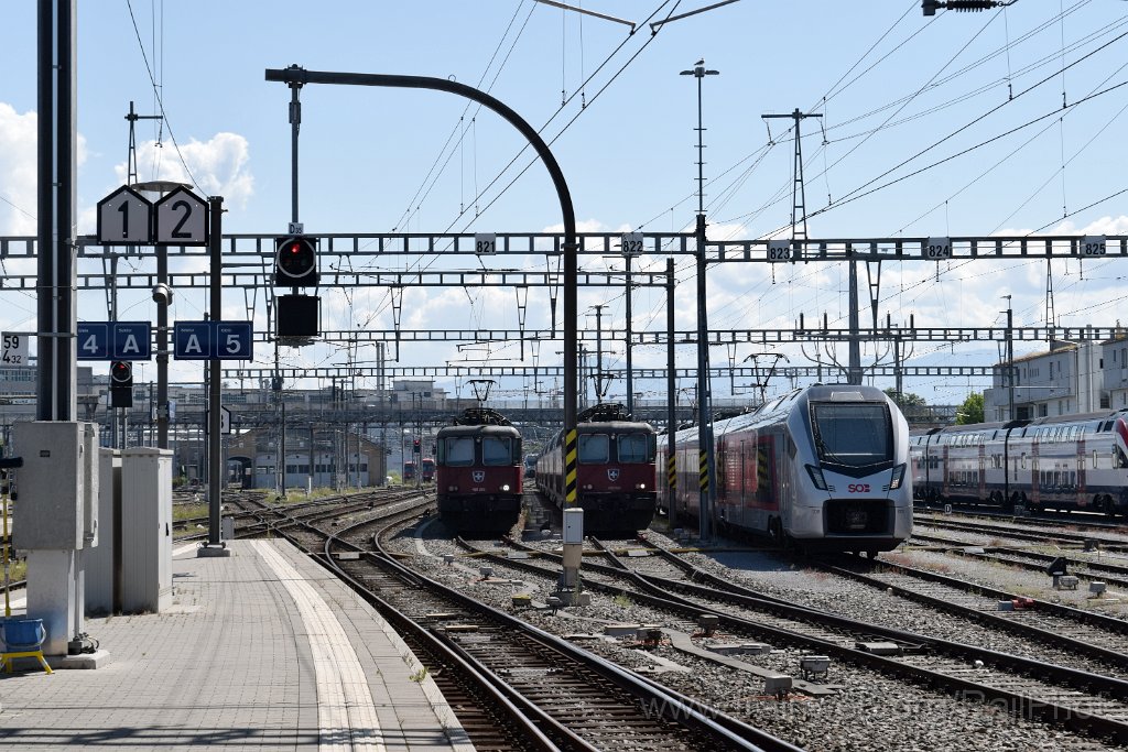 9860-0009-280625.jpg - SBB-CFF Re 420.203-2 + Re 420.224-8 + SOB RABe 526.005-4 "Pilatus" / Rapperswil 28.6.2025