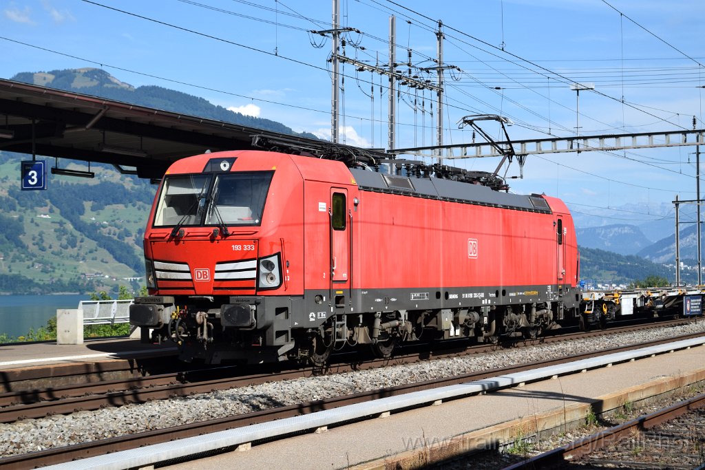 9904-0039-180725.jpg - DBAG 193.333 / Immensee 18.7.2025