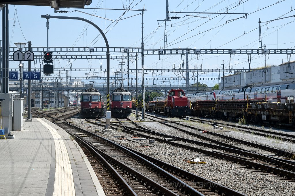 9938-0037-100825.jpg - SBB-CFF Re 420.219-8 + Re 420.210-7 + Am 841.029-2 / Rapperswil 10.8.2025