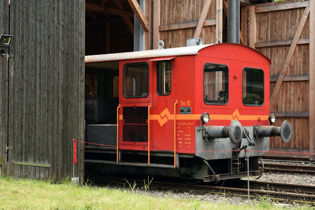 3901-0050-150516.jpg - ZMB Tm 10 / Sihlwald 15.5.2016