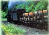 Steam goods trains.jpg (69384 bytes)