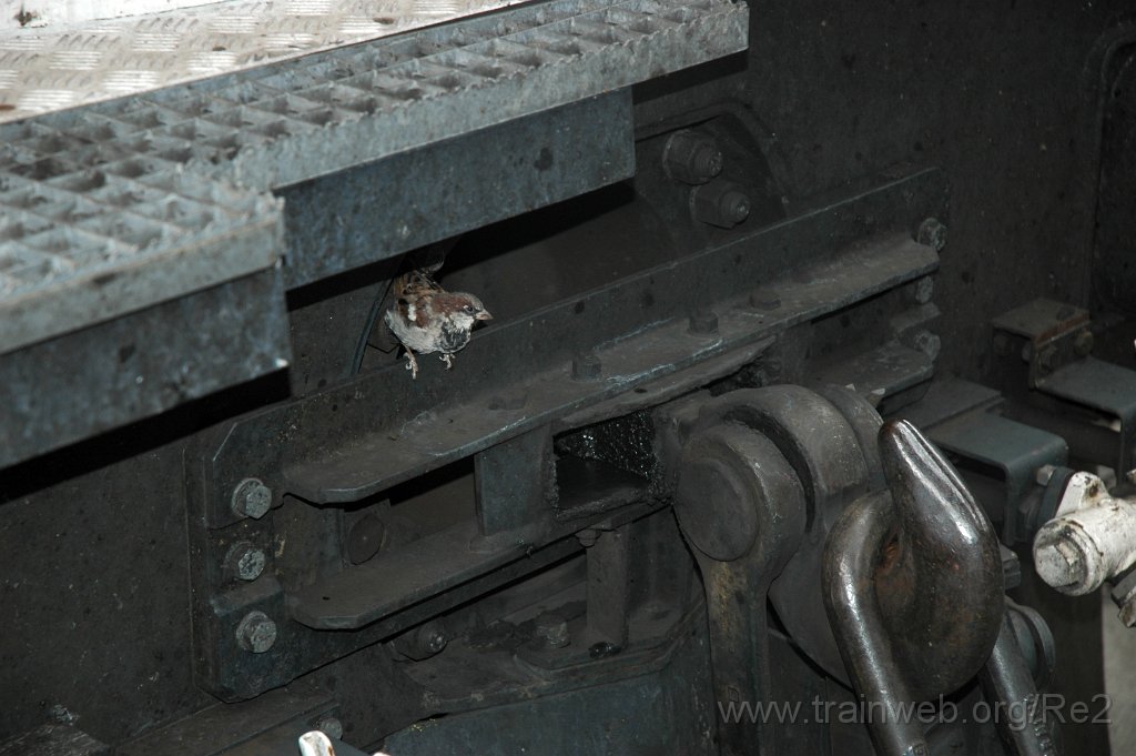 1558-0044-060908.jpg - Re 4/4'' 11230 / Zürich HB 6.9.2008