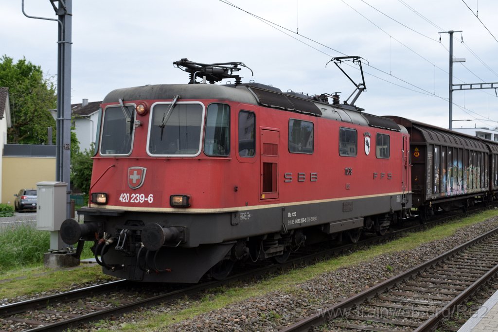 8544-0039-190523.jpg - SBBC Re 4/4'' 11239 (Re 420.239-6)  ''Porrentruy'' (Re 91 85 4 420 239-6 CH-SBBC) / Heerbrugg 19.5.2023