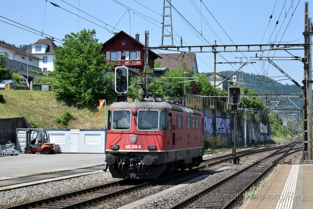 8639-0040-310523.jpg - SBBC Re 4/4'' 11239 (Re 420.239-6)  ''Porrentruy'' (Re 91 85 4 420 239-6 CH-SBBC) / Killwangen-Spreitenbach 31.5.2023