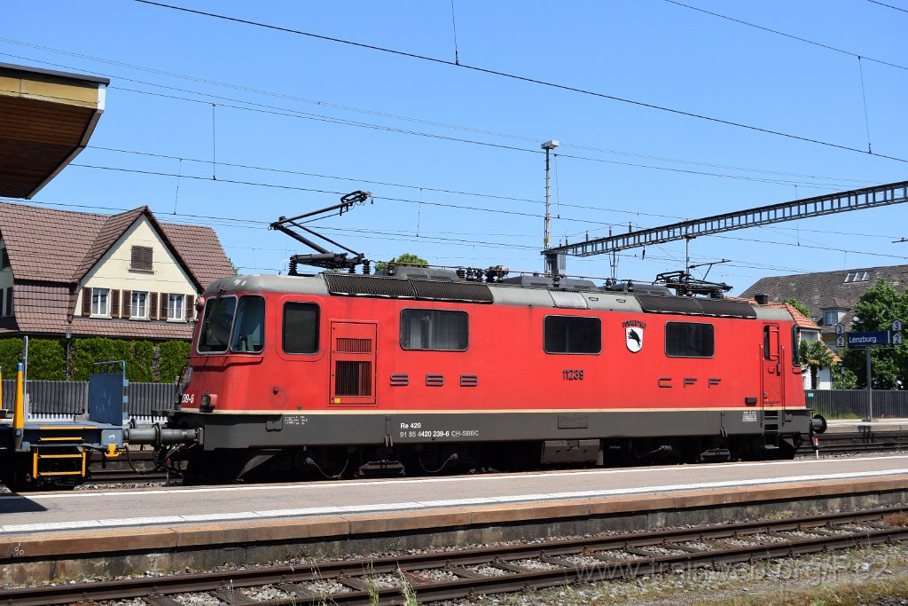 8643-0023-310523.jpg - SBBC Re 4/4'' 11239 (Re 420.239-6)  ''Porrentruy'' (Re 91 85 4 420 239-6 CH-SBBC) / Lenzburg 31.5.2023