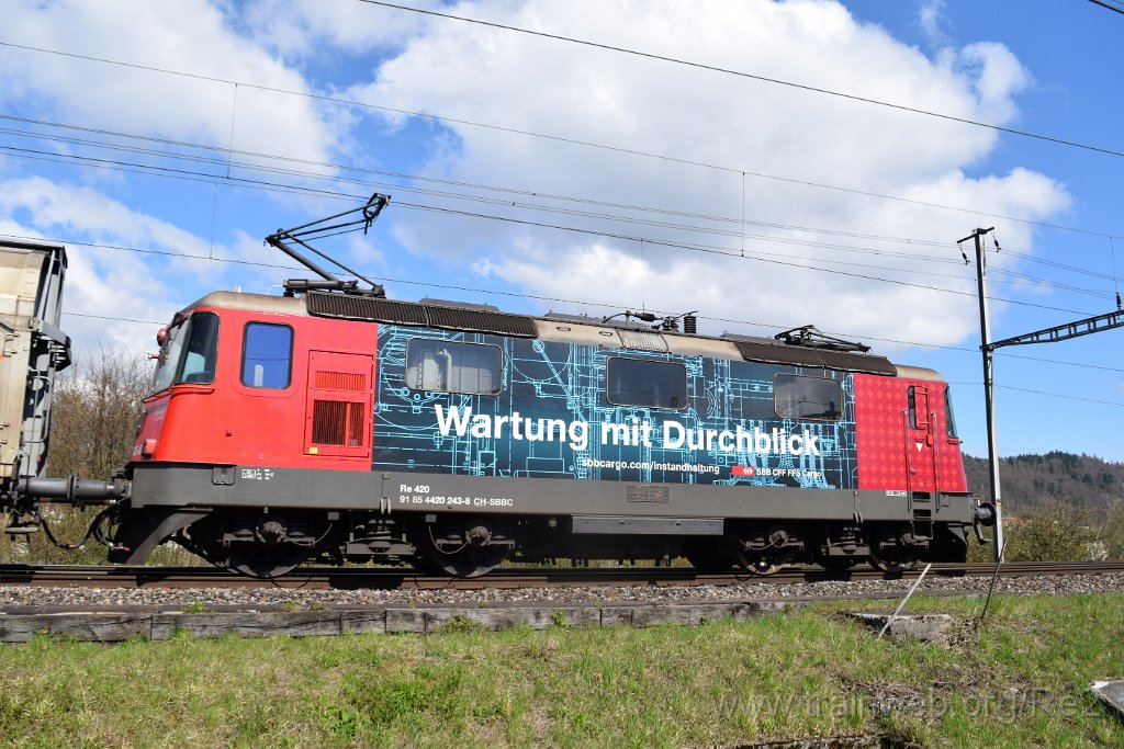 9625-0050-010425.jpg - SBBC Re 420.243-8 ''Wartung mit Durchblick'' (Re 91 85 4 420 243-8 CH-SBBC) / Killwangen-Spreitenbach 1.4.2025