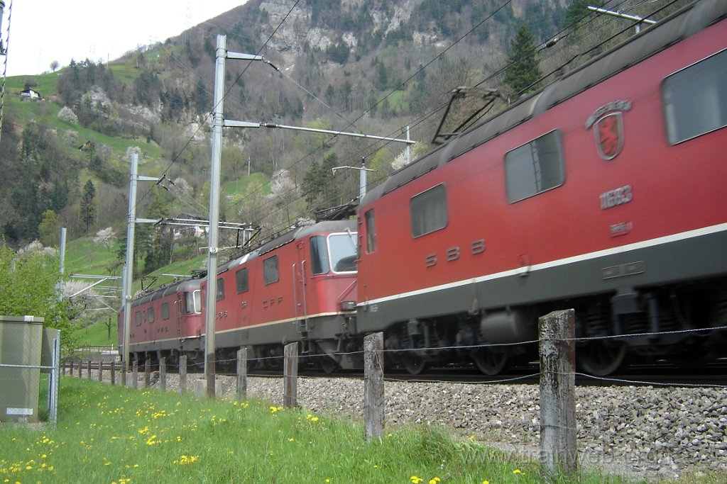 1036-0046-240405.jpg - SBB-CFF Re 6/6 11683 ''Amsteg - Silenen'' + SBB-CFF Re 6/6 11672 ''Balerna'' + SBB-CFF Re 4/4'' 11246 / Sisikon 24.4.2005