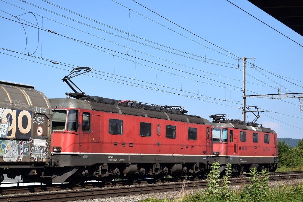 8113-0037-220722.jpg - SBBC Re 4/4'' 11248 (Re 420.248-7)  (Re 91 85 4 420 248-7 CH-SBBC) + SBBC Re 6/6 11684 (Re 620.084-4)  ''Uznach'' (Re 91 85 4 620 084-4 CH-SBBC) / Killwangen-Spreitenbach 22.7.2022