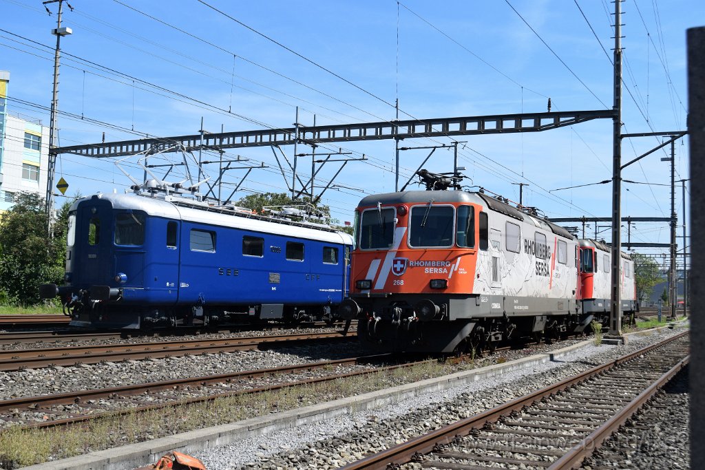 9979-0001-250825.jpg - CLRA Re 4/4' 10009 (Re 91 85 4 410 009-5 CH-CLRA) + Sersa Re 420.268-5 ''Cornelia'' (Re 91 85 4 420 268-5 CH-SERSA) + Sersa Re 420.503-5 ''Valentina'' (Re 91 85 4 420 503-5 CH-SERSA) / Schlieren (Grabenstrasse) 25.8.2025
