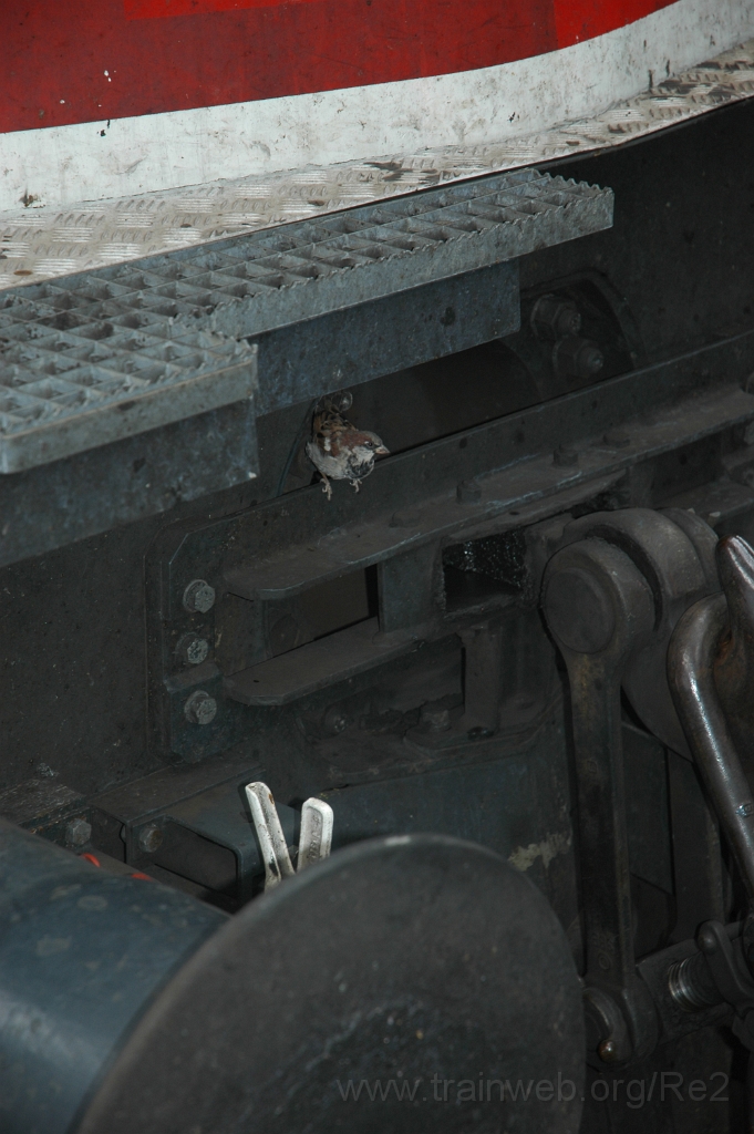 1558-0043-060908.jpg - Re 4/4'' 11230 / Zürich HB 6.9.2008