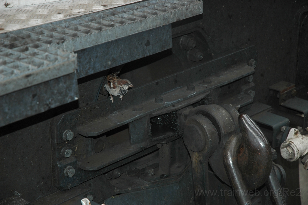 1558-0044-060908.jpg - Re 4/4'' 11230 / Zürich HB 6.9.2008