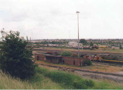 toton2.jpg (90867 bytes)