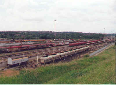 toton6.jpg (103910 bytes)