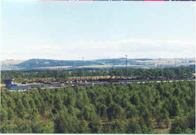 millerhill3.jpg (50520 bytes)