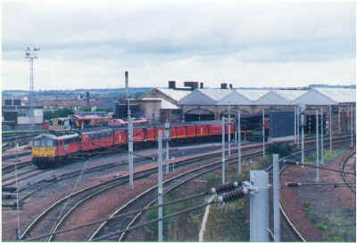 ml.jpg (93270 bytes)