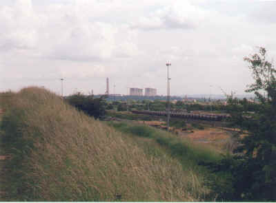 toton1.jpg (89765 bytes)