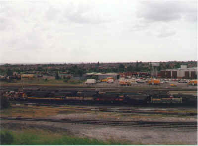 toton3.jpg (85775 bytes)