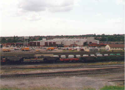 toton4.jpg (94311 bytes)