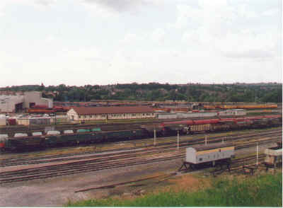 toton5.jpg (95717 bytes)