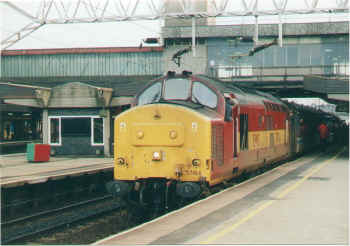 37426st1.jpg (83856 bytes)