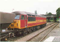 56051-1.jpg (143596 bytes)