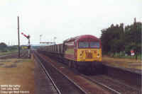 56062.jpg (125951 bytes)