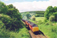 401426-1.jpg (985177 bytes)