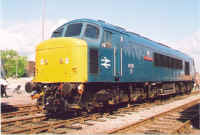 45135zc.jpg (142042 bytes)