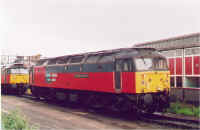 47725-1.jpg (101606 bytes)