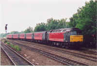 47818.jpg (163501 bytes)