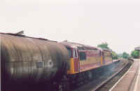 56103059.jpg (79834 bytes)