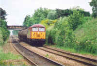 56120.jpg (173799 bytes)