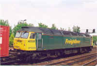 57008-2.jpg (120740 bytes)