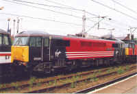 87029.jpg (132334 bytes)