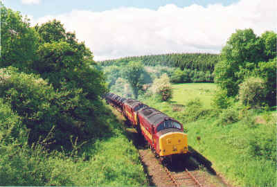 401426-1.jpg (985177 bytes)