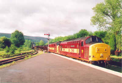 401426p1.jpg (785887 bytes)