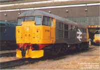 31108.jpg (157948 bytes)