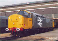 37906.jpg (154452 bytes)