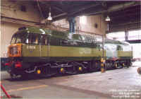 47004.jpg (155353 bytes)