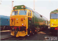 50007.jpg (137576 bytes)