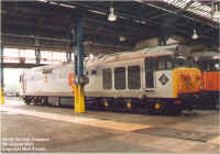 50149.jpg (160088 bytes)