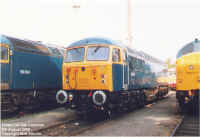 56006.jpg (127786 bytes)