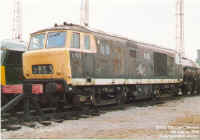 D7029.jpg (146732 bytes)