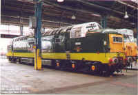 D9000.jpg (163206 bytes)