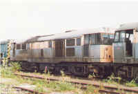 31233.jpg (138609 bytes)