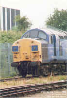 37023-1.jpg (155925 bytes)