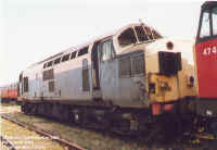 37098.jpg (128529 bytes)